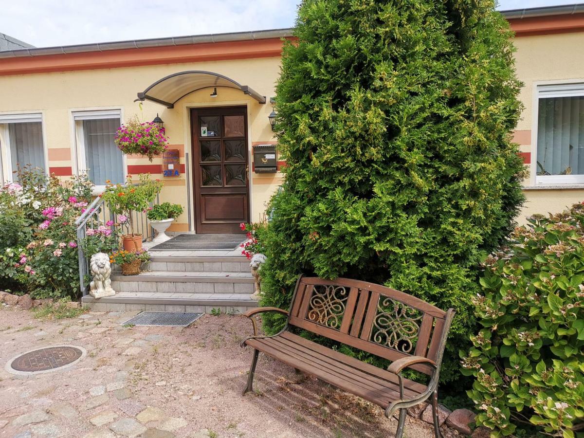 Gaestezimmer Am Gewoelbekeller Meißen Zewnętrze zdjęcie